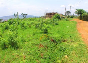 Kigali: Abafite ibibanza bitubatse bashobora kubyamburwa