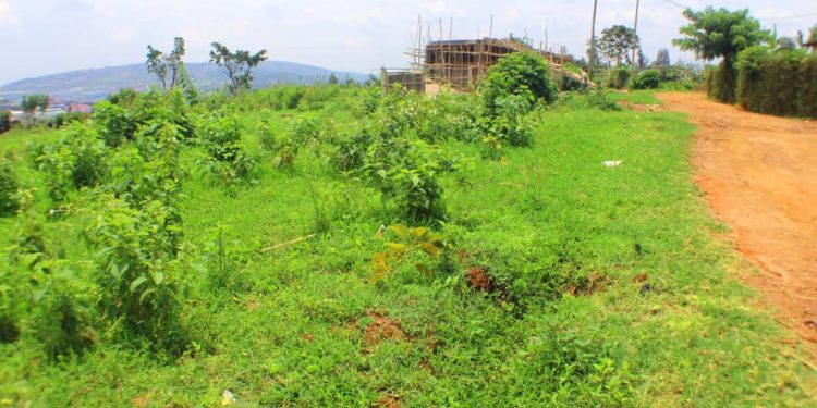 Kigali: Abafite ibibanza bitubatse bashobora kubyamburwa