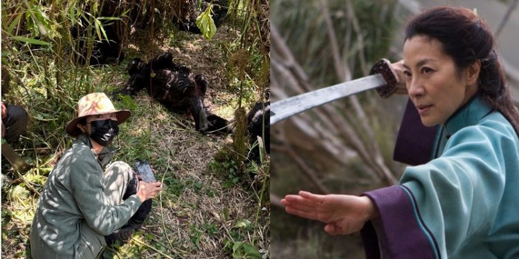 Michelle Yeoh wamenyekanye muri Cinema ku Isi ari mu Rwanda