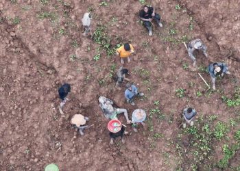 Musanze: Abahoraga baribata imyaka y’abaturage ngo bashaka zahabu baguwe gitumo na Drone