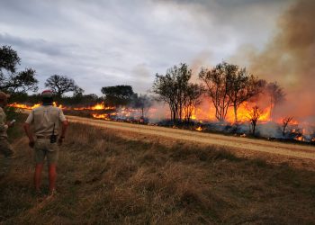 Namibia: Umuriro watatse parike inyamanswa zibigenderamo