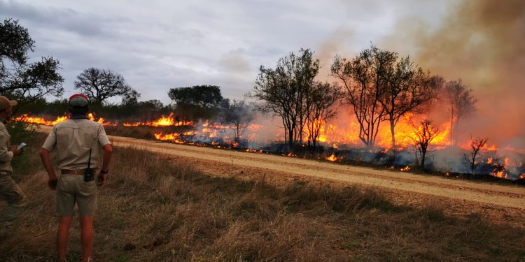 Namibia: Umuriro watatse parike inyamanswa zibigenderamo