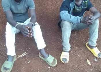 Nyamasheke: Abakubise abageni bakabagira indembe batawe muri yombi