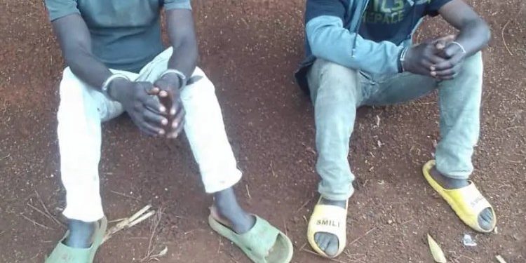 Nyamasheke: Abakubise abageni bakabagira indembe batawe muri yombi