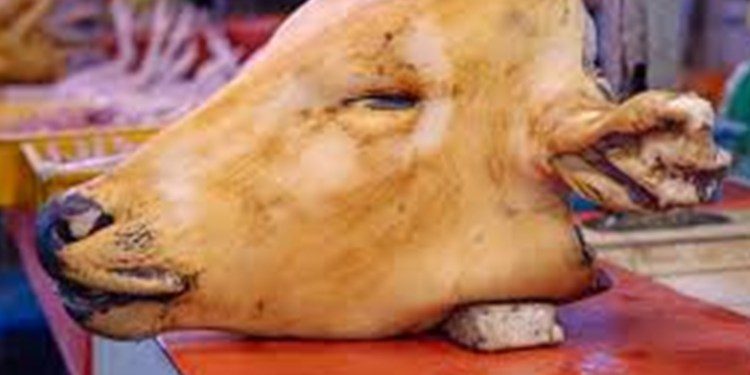 Musanze: Umugabo yafatanywe umutwe w’inka yibwe bamubajije avuga ko avuye kuwugura