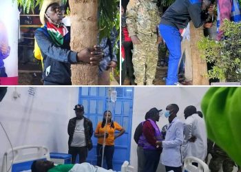 Kenya: Pasiteri yahobereye igiti amazeho umwanya agwa igihumure