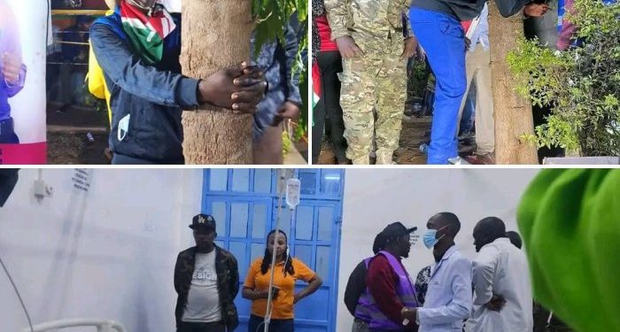 Kenya: Pasiteri yahobereye igiti amazeho umwanya agwa igihumure